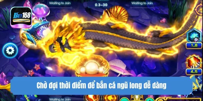 Chờ đợi thời điểm để bắn cá ngũ long dễ dàng